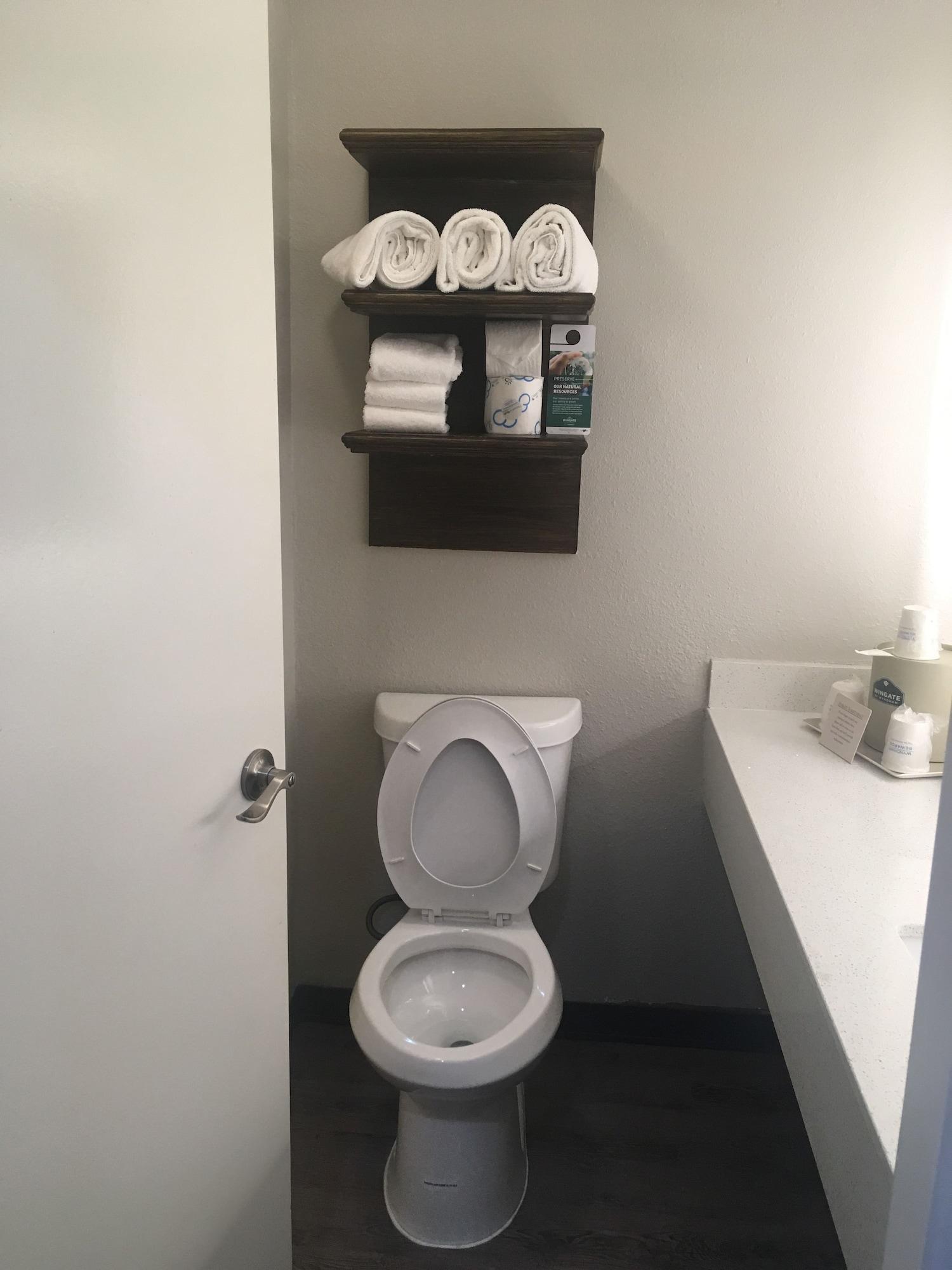 Hotel Wingate By Wyndham - Dfw North