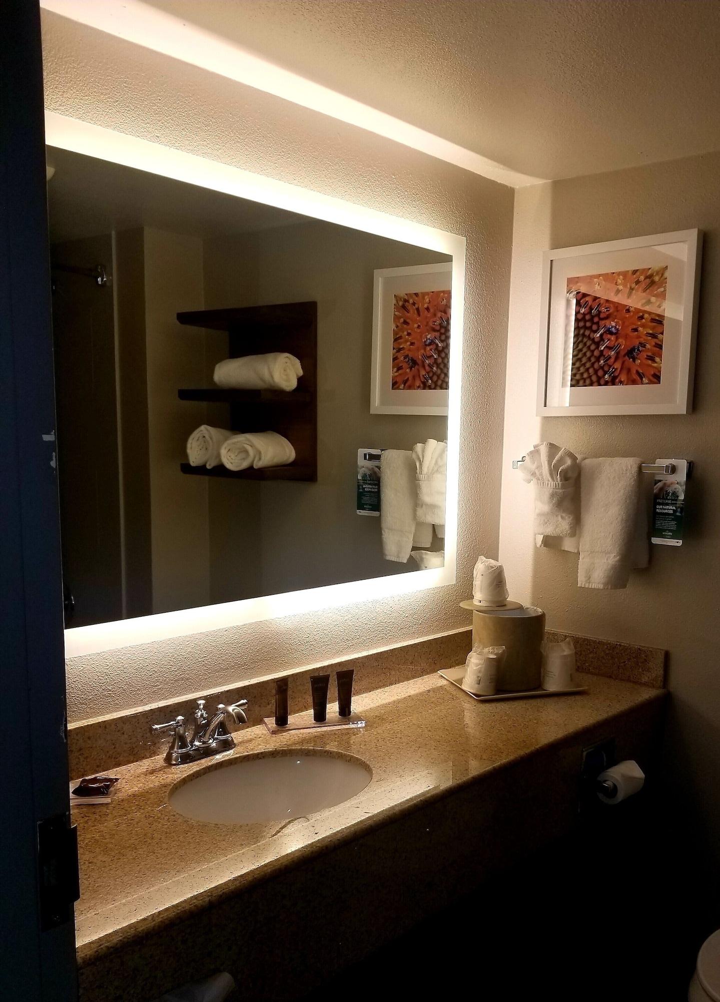 Hotel Wingate By Wyndham - Dfw North