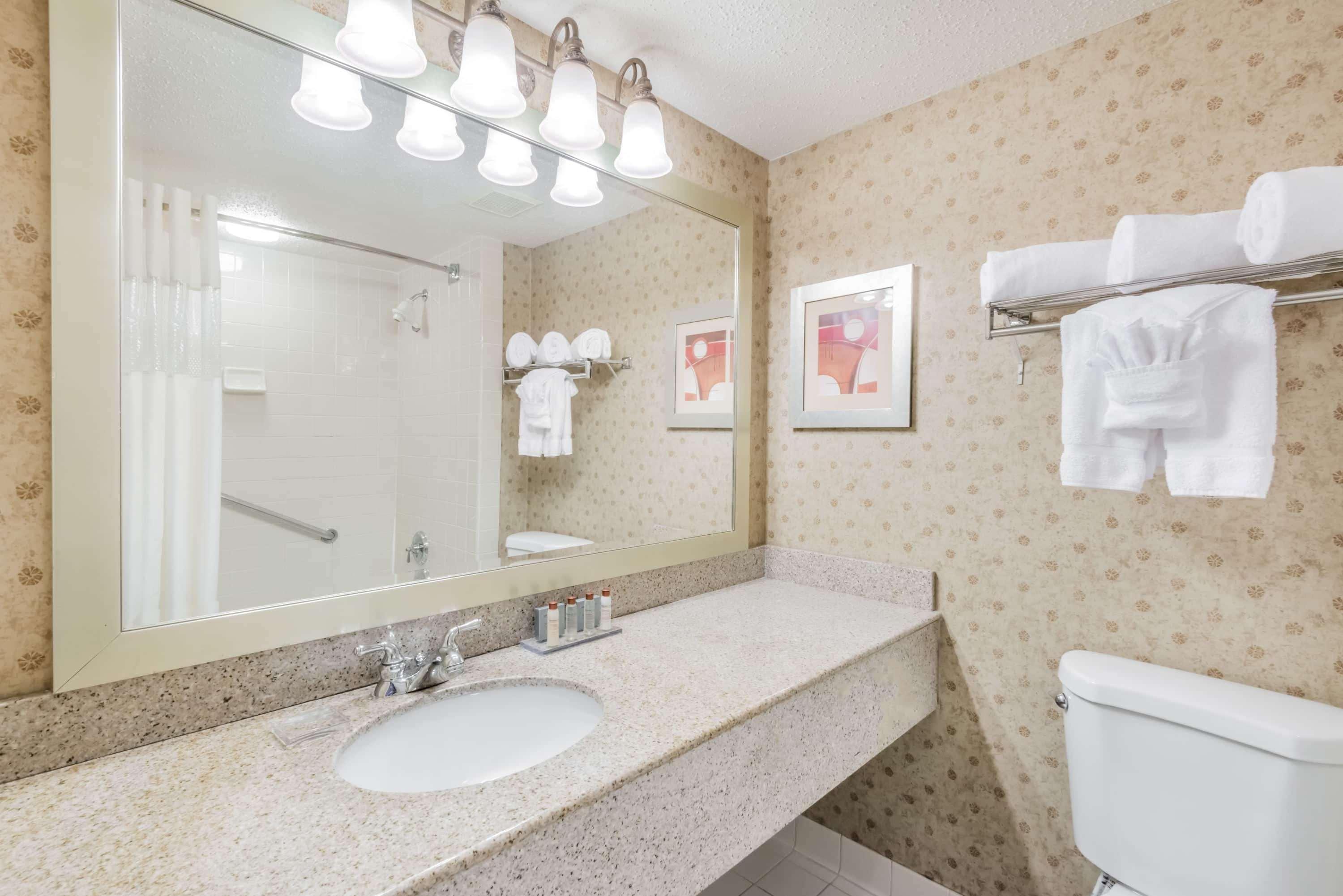 Wingate By Wyndham - Dfw North Hotel Irving